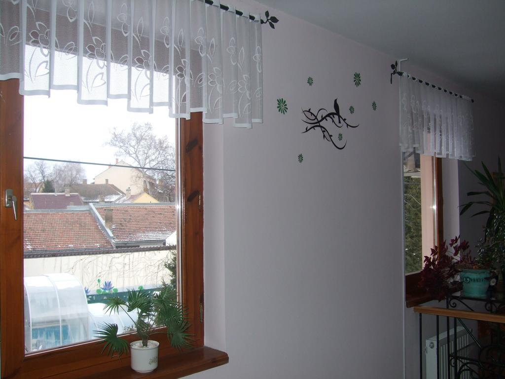 세게드 Timarhaz Panzio B&B 객실 사진