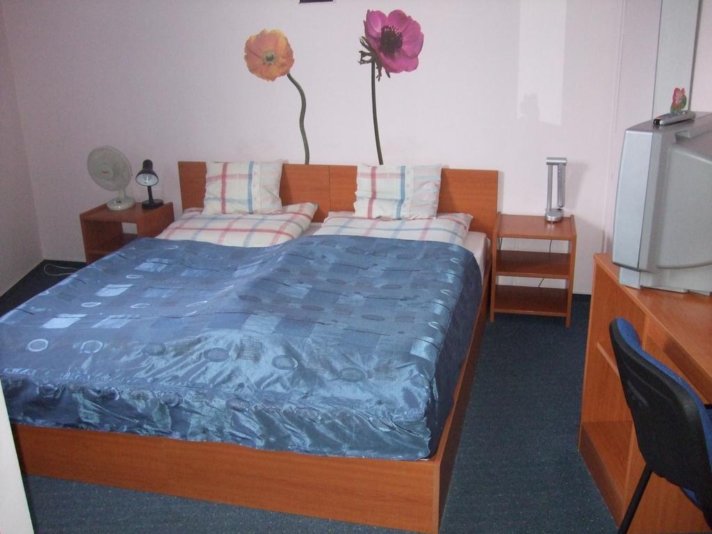 세게드 Timarhaz Panzio B&B 객실 사진