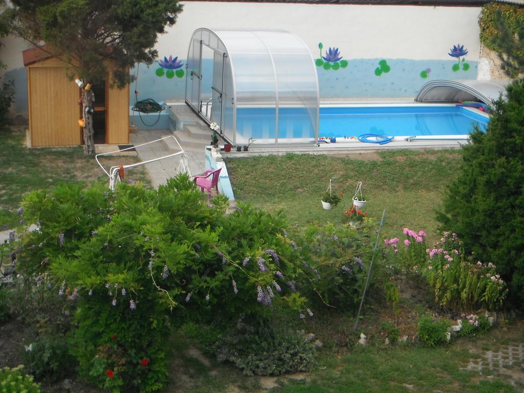 세게드 Timarhaz Panzio B&B 객실 사진