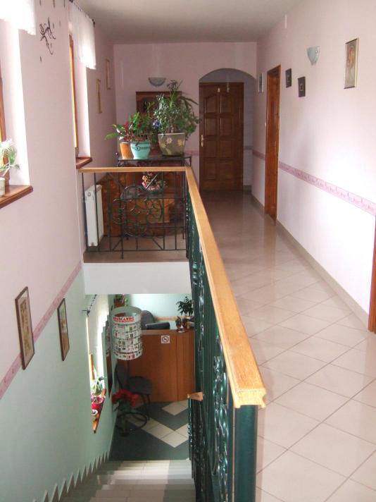 세게드 Timarhaz Panzio B&B 외부 사진