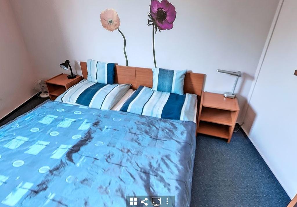세게드 Timarhaz Panzio B&B 외부 사진